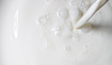 Качество молока и здоровье животных